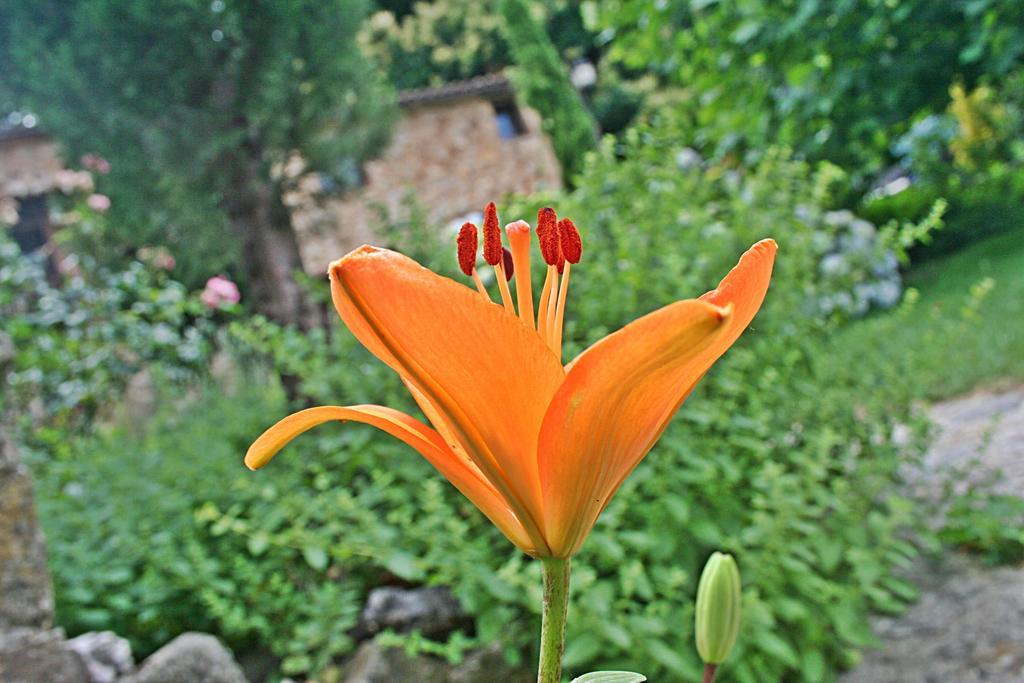 Finca El Carpintero Херте Экстерьер фото